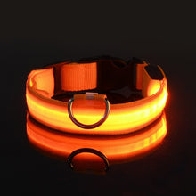 Load image into Gallery viewer, Rechargable Pet LED Dog Collar