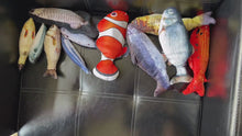 Load and play video in Gallery viewer, Simulation Fish Cat Toy