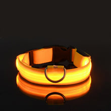 Load image into Gallery viewer, Rechargable Pet LED Dog Collar