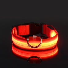 Load image into Gallery viewer, Rechargable Pet LED Dog Collar