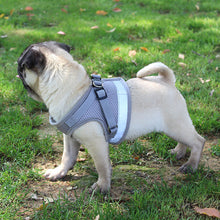 Load image into Gallery viewer, Reflective Pet Dog Harness and Leash Set