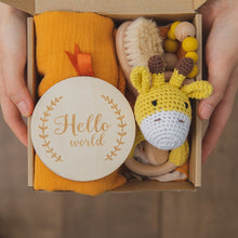 Load image into Gallery viewer, Newborn Baby Gift Set