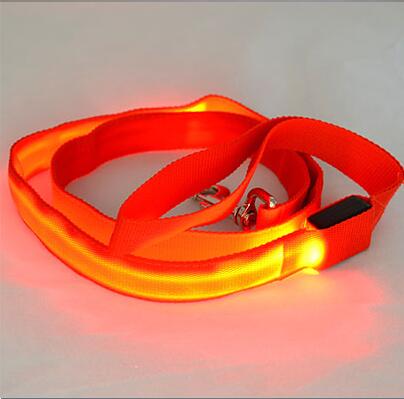 Light Up Dog Leash